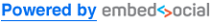 EmbedSocial-logo